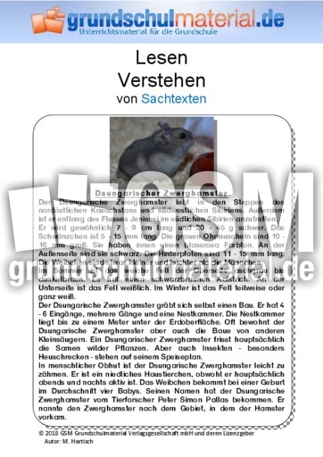 Dsungarischer Zwerghamster - Sachtext.pdf
